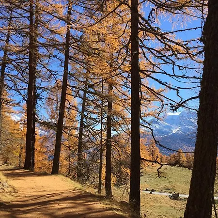 Appartamento Im Firn - Og *