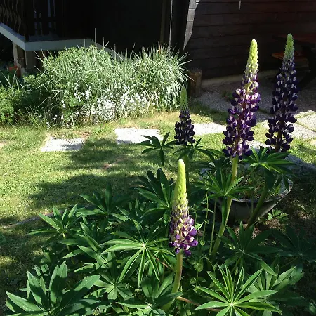 Appartamento Im Firn - Og *