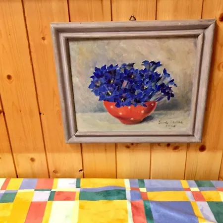 Im Firn - Og Appartamento *