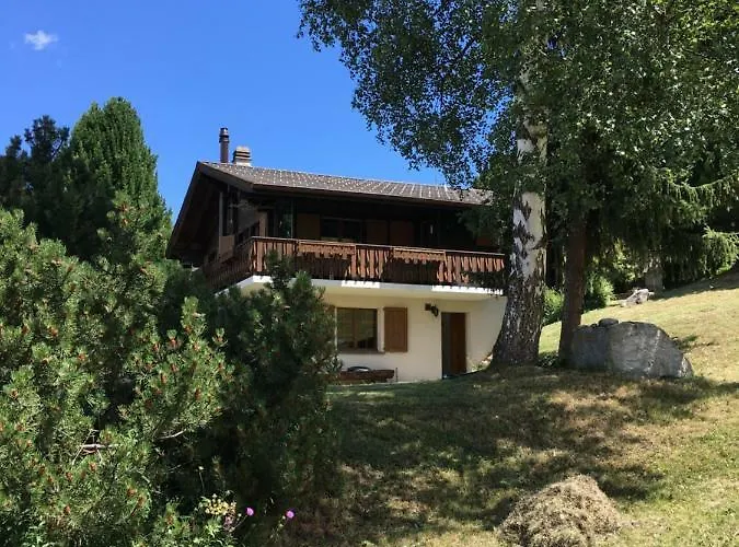 Im Firn - Og Daire Bürchen