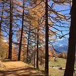Apartament Im Firn - Og *