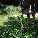 Apartament Im Firn - Og *